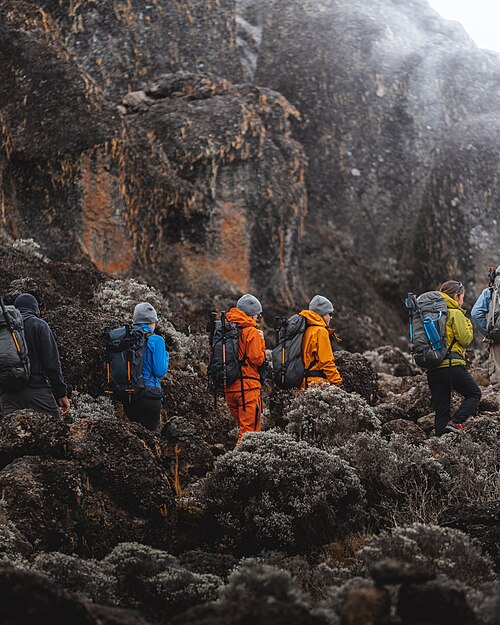 Trekkers making their way up the Barranco Valley on Mount Kilimanjaro