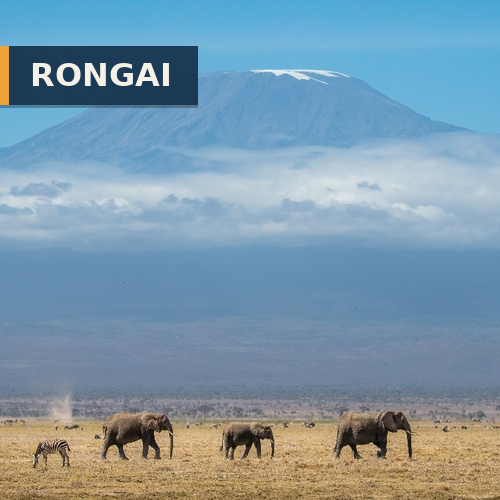 Rongai Route route